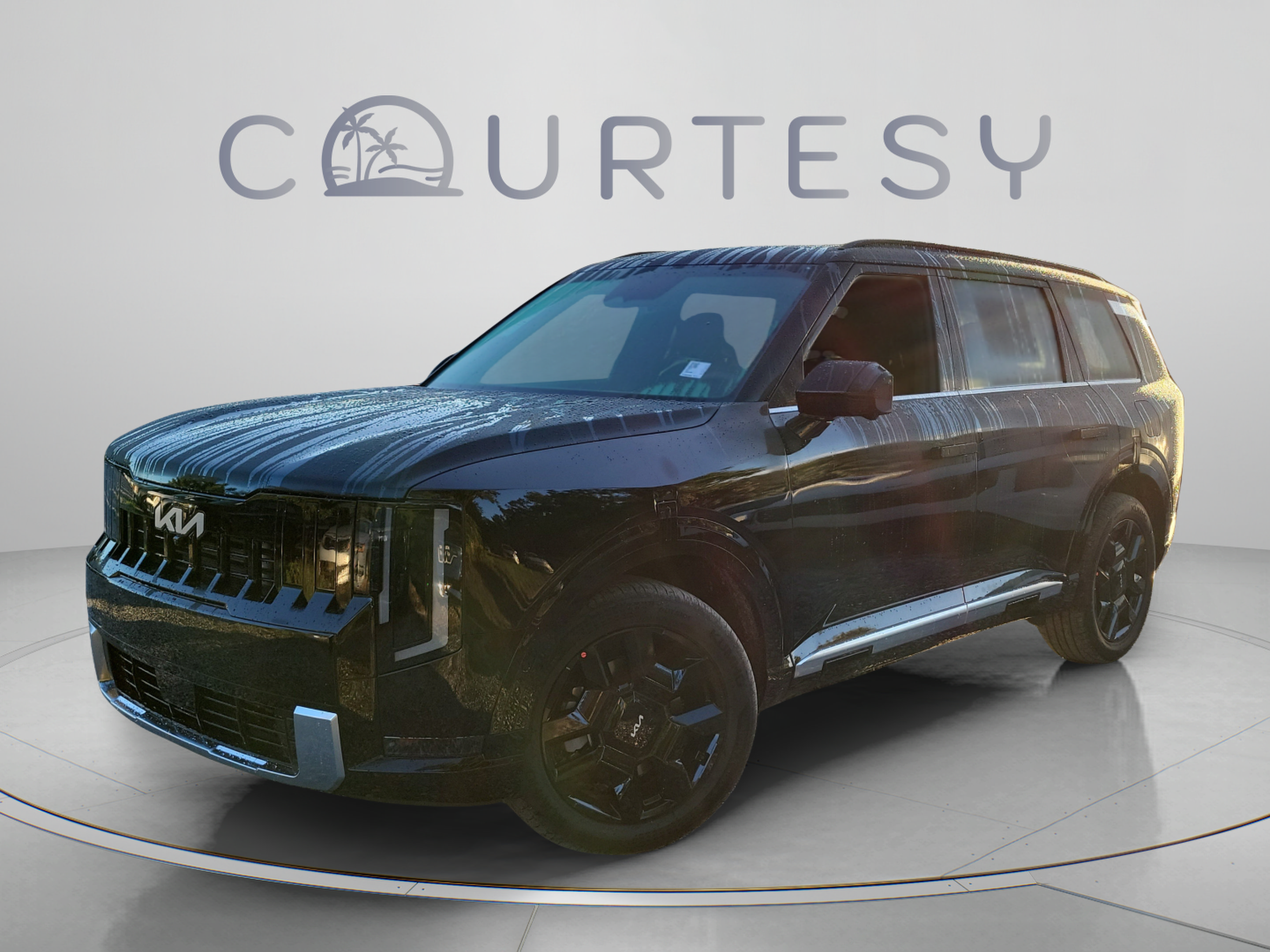  Kia Telluride Hybrid