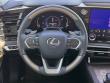 2023 LEXUS RX 350 Premium Plus SUV