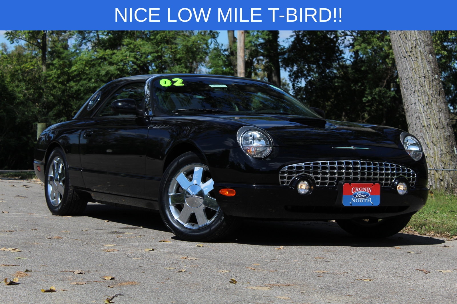 2002 Ford Thunderbird Premium