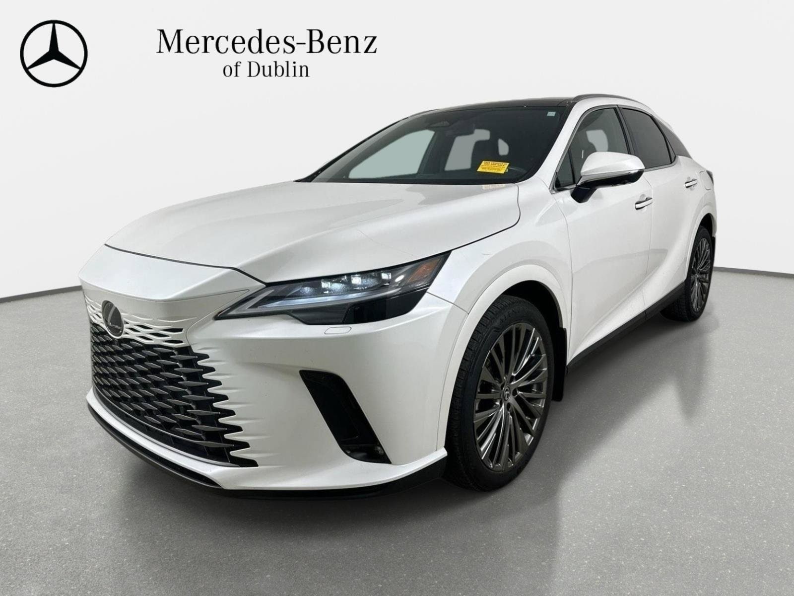 2024 Lexus RX