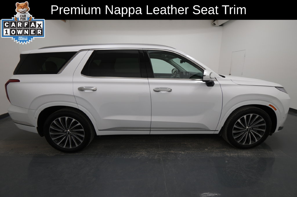 2025 Hyundai Palisade Calligraphy - Photo 10