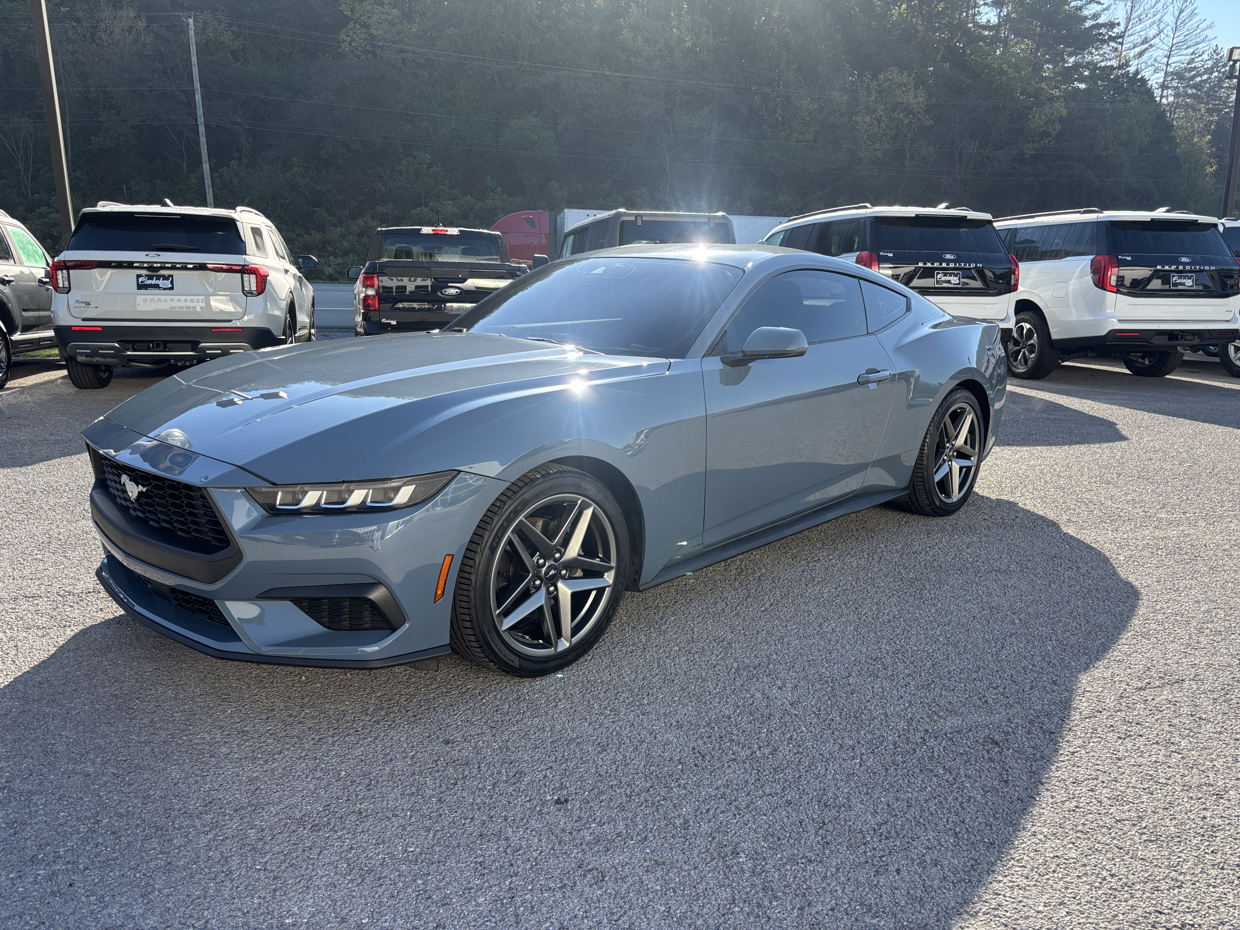  Ford Mustang