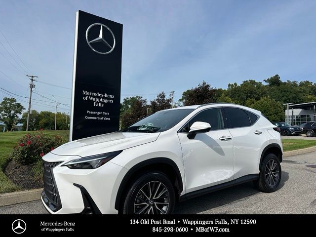 2024 Lexus NX
