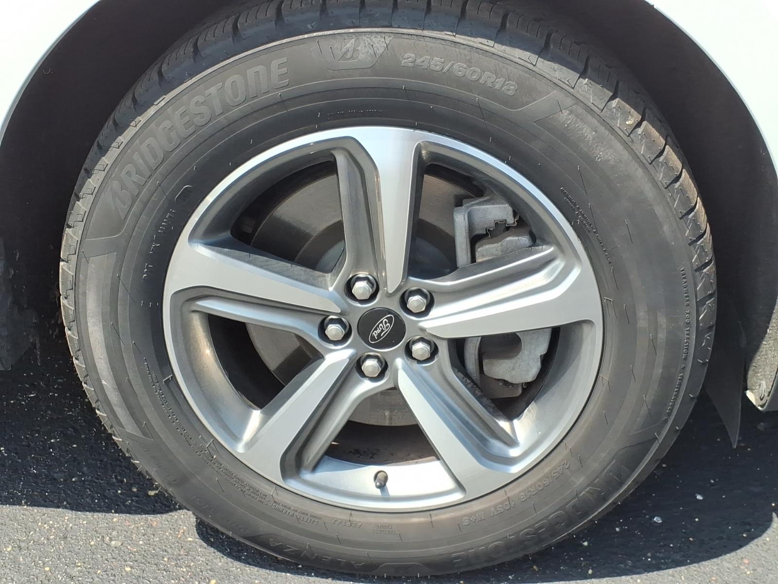 Photo 19