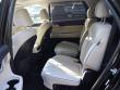 2024 Hyundai Palisade Limited SUV