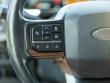 2021 Ford F-150 Platinum Pickup
