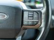 2021 Ford F-150 Platinum Pickup