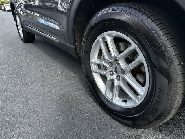 Photo 11