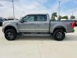 2021 Ford F-150 XLT Truck
