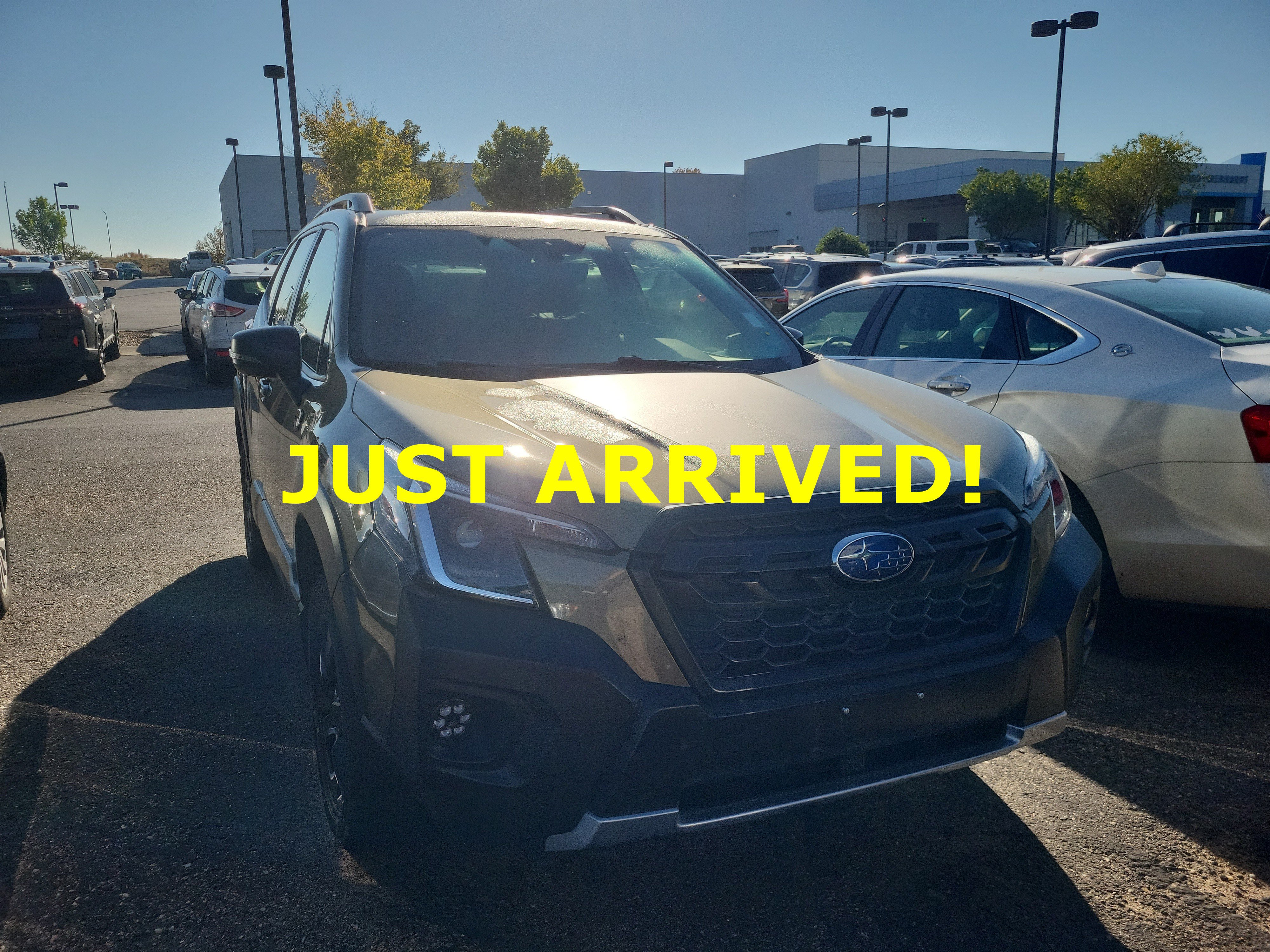 Used 2023 Subaru Forester Wilderness SUV