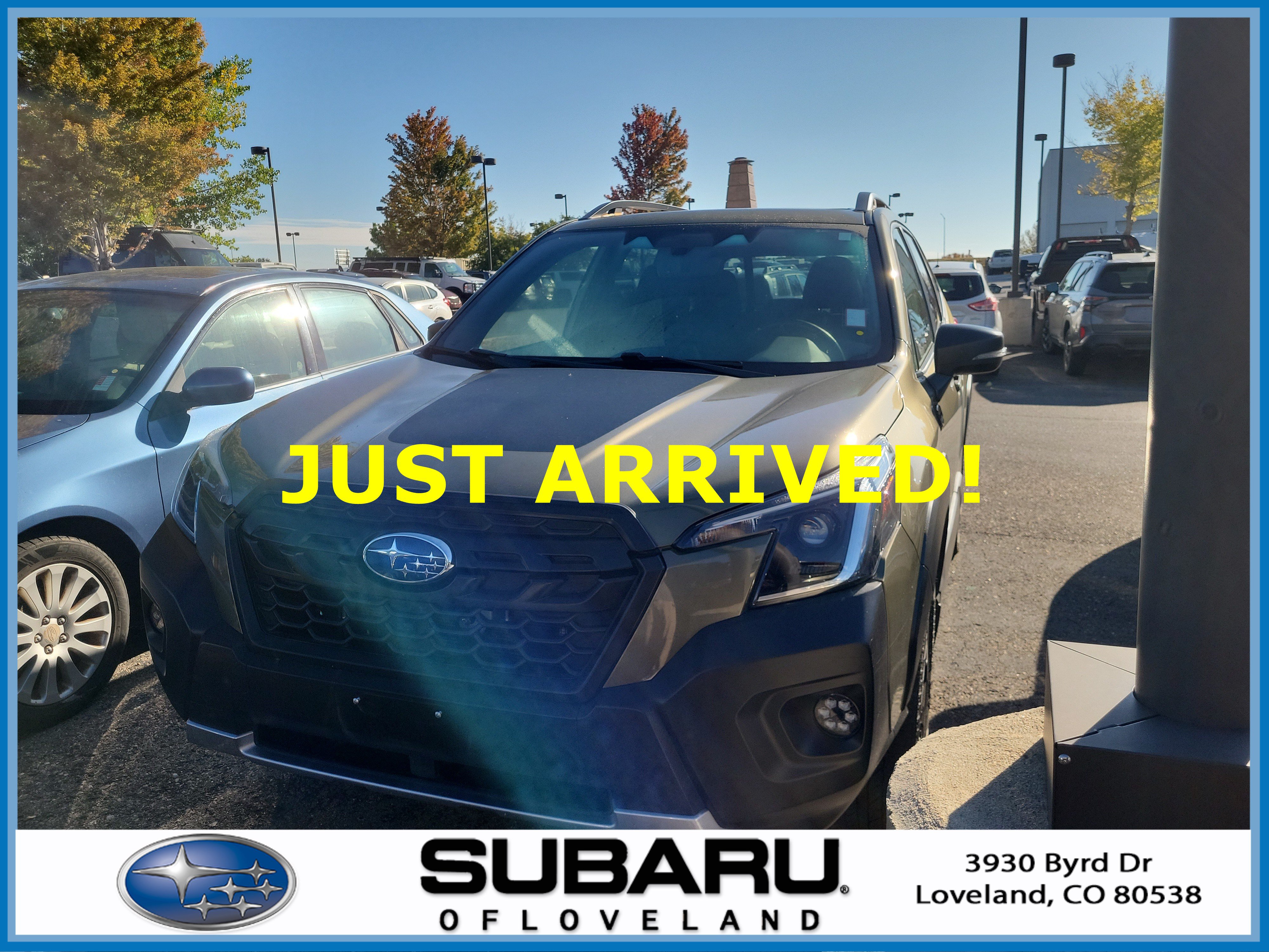 Used 2023 Subaru Forester Wilderness SUV