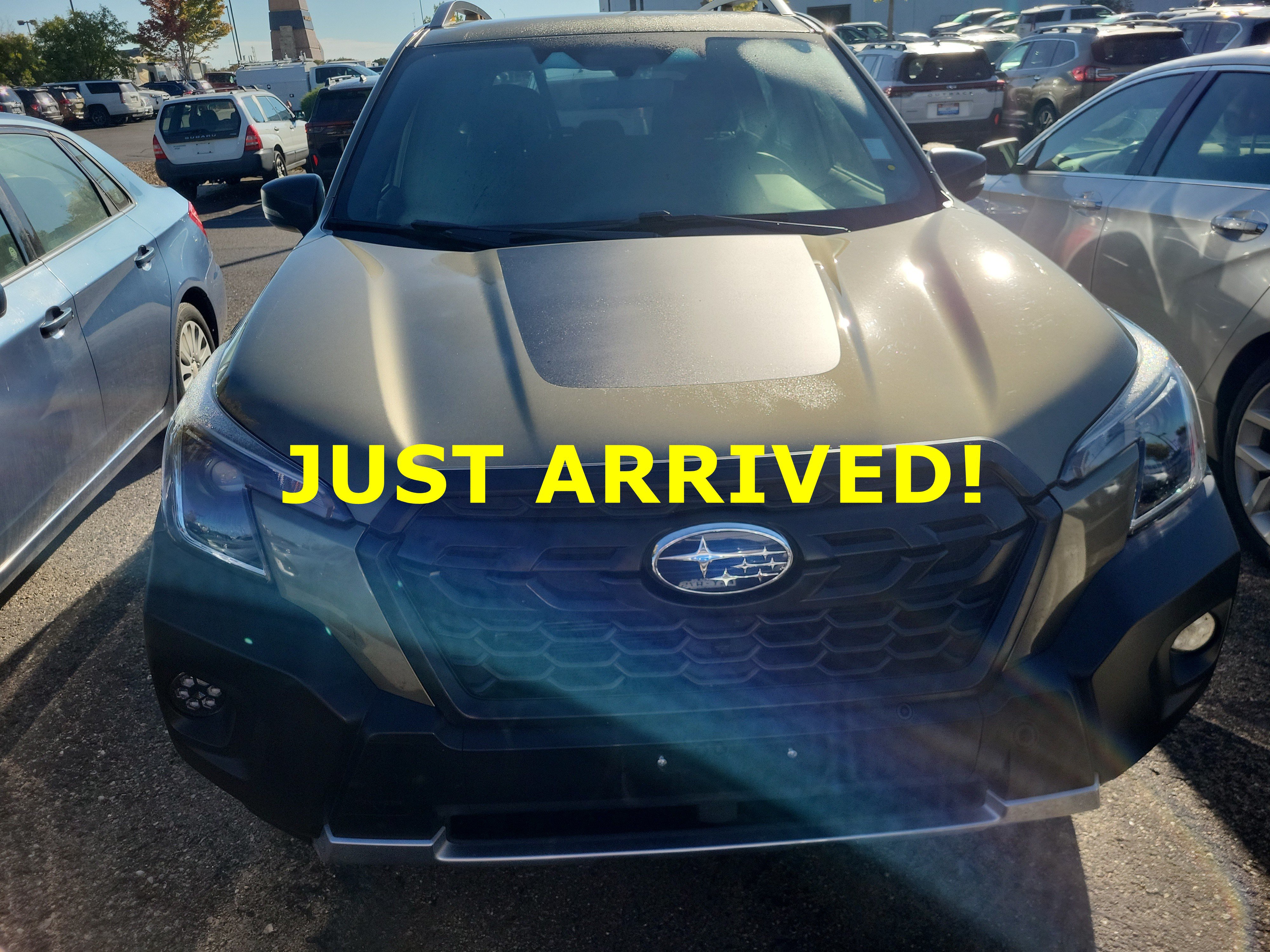 Used 2023 Subaru Forester Wilderness SUV