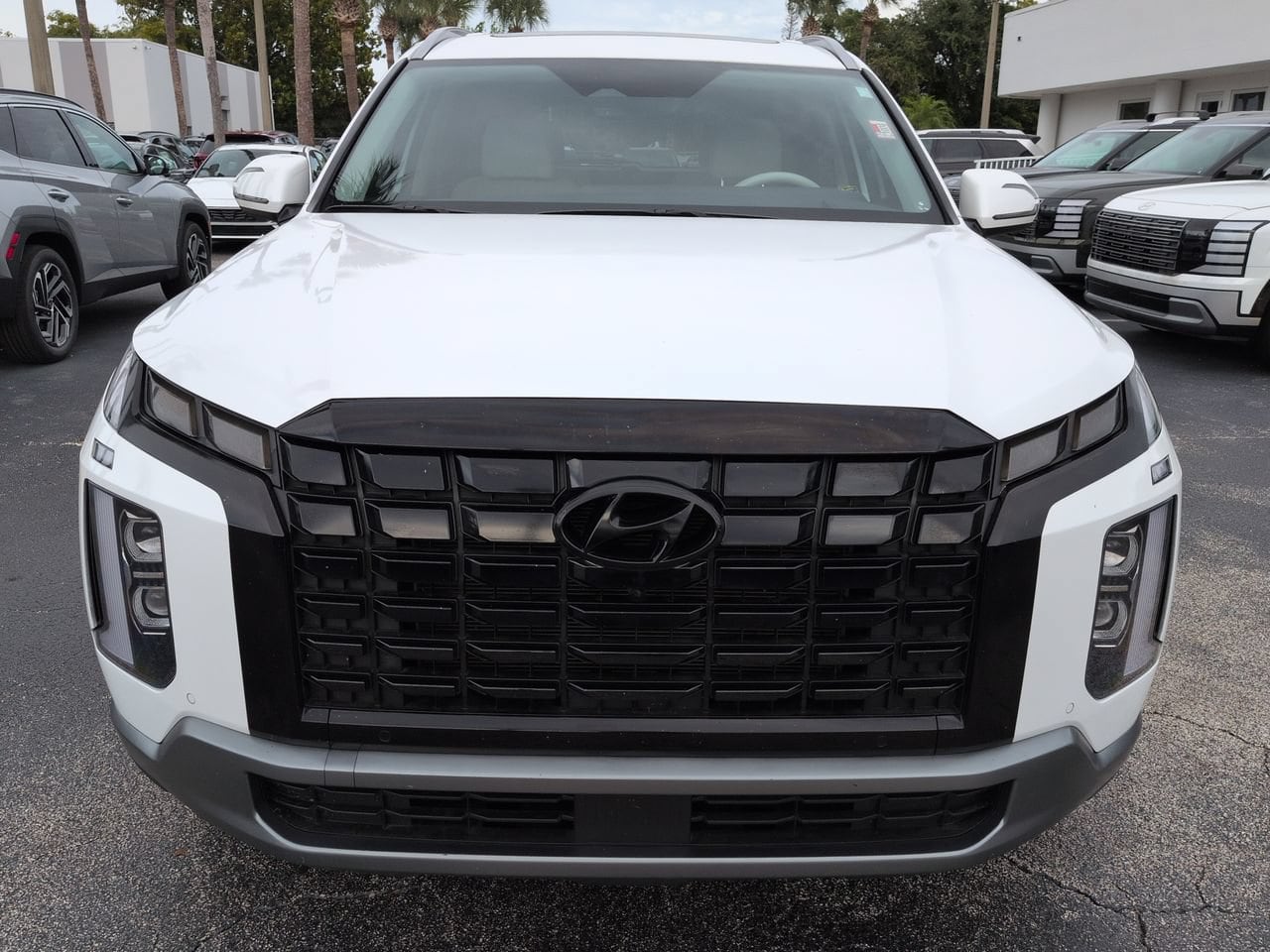 2025 Hyundai Palisade Limited - Photo 9
