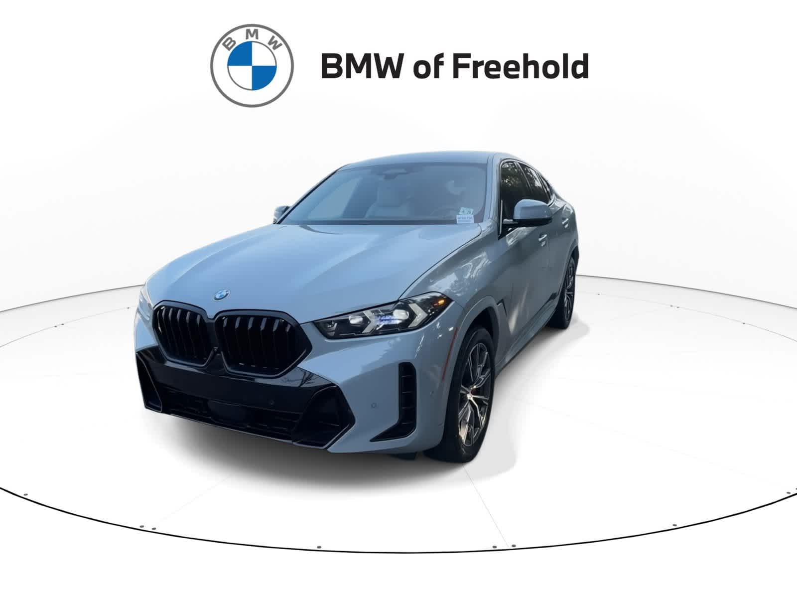 2024 BMW X6