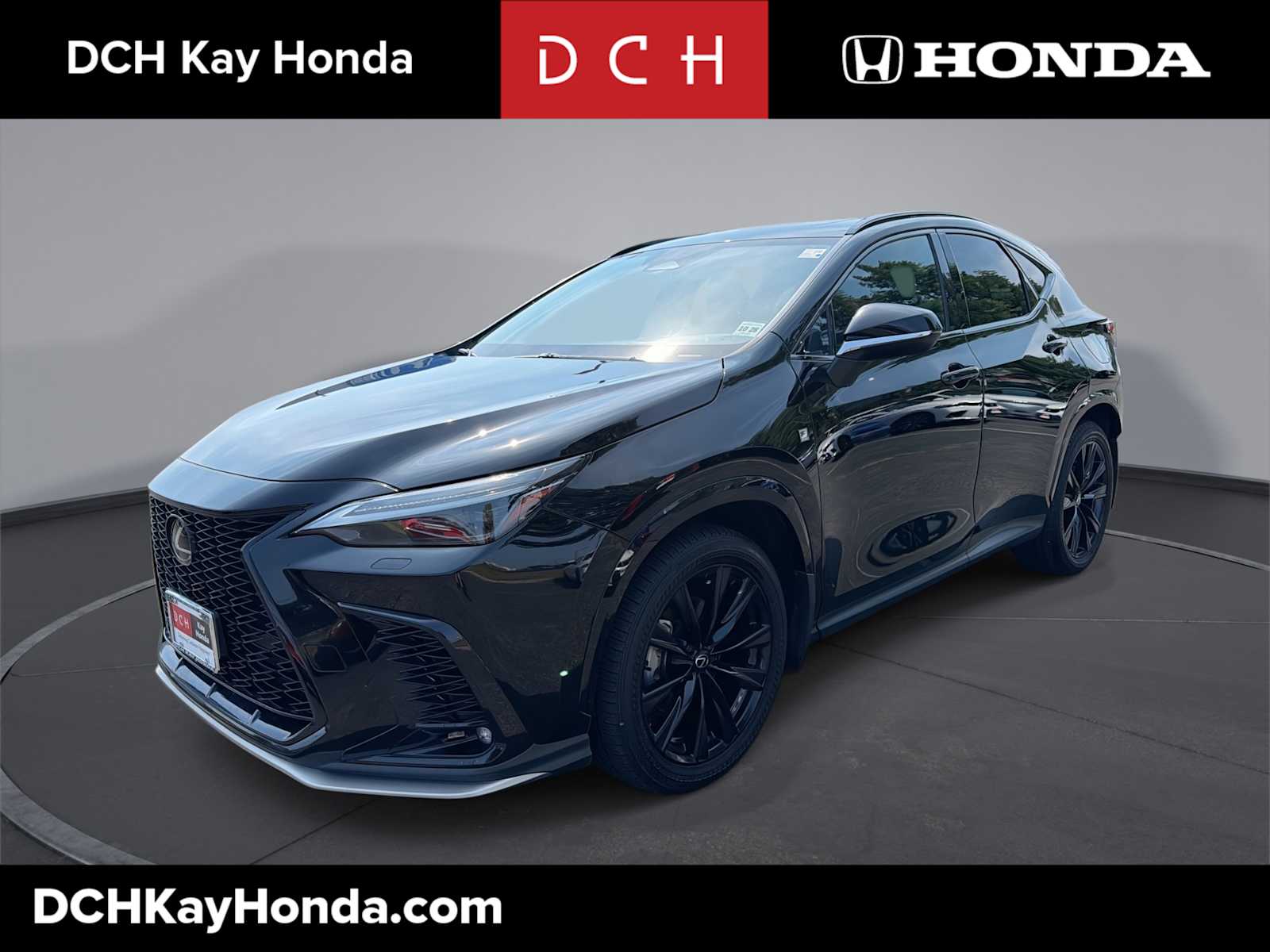 2024 Lexus NX
