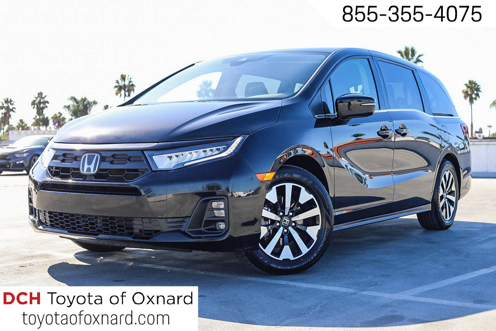 2025 Honda Odyssey EX-L