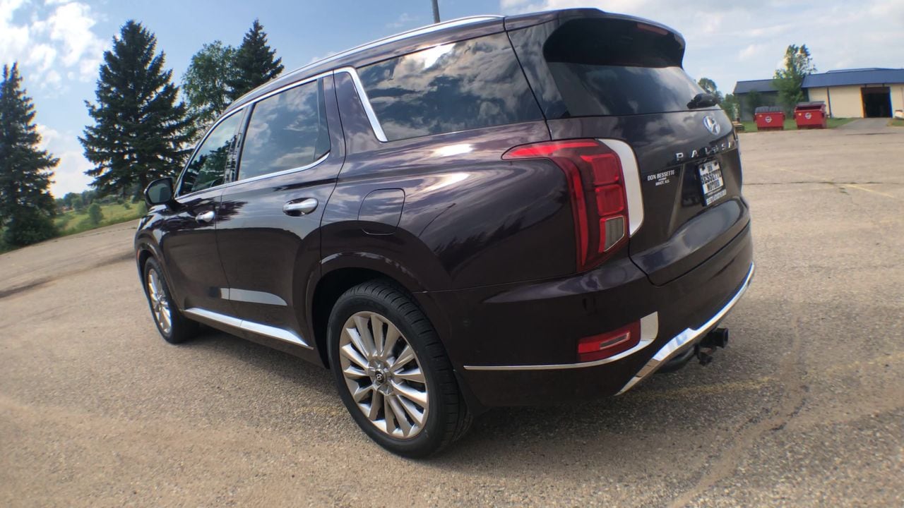2020 Hyundai Palisade Limited - Photo 6