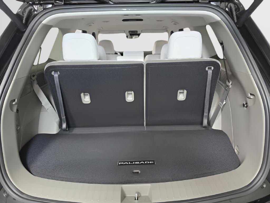2026 Hyundai Palisade SEL - Photo 17