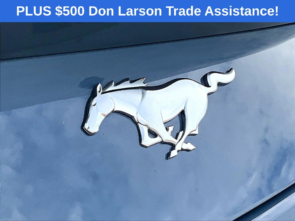2025 Ford Mustang EcoBoost Premium Fastback - Photo 8
