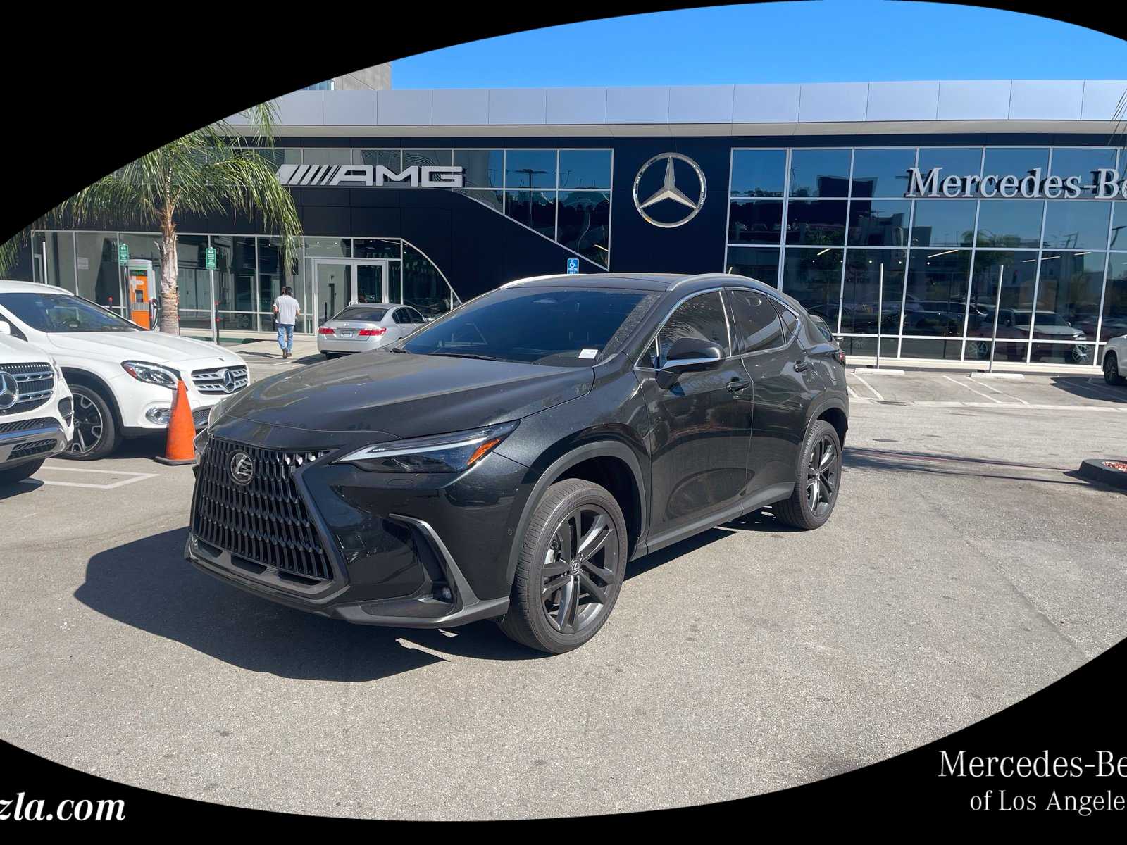 2025 Lexus NX PHEV