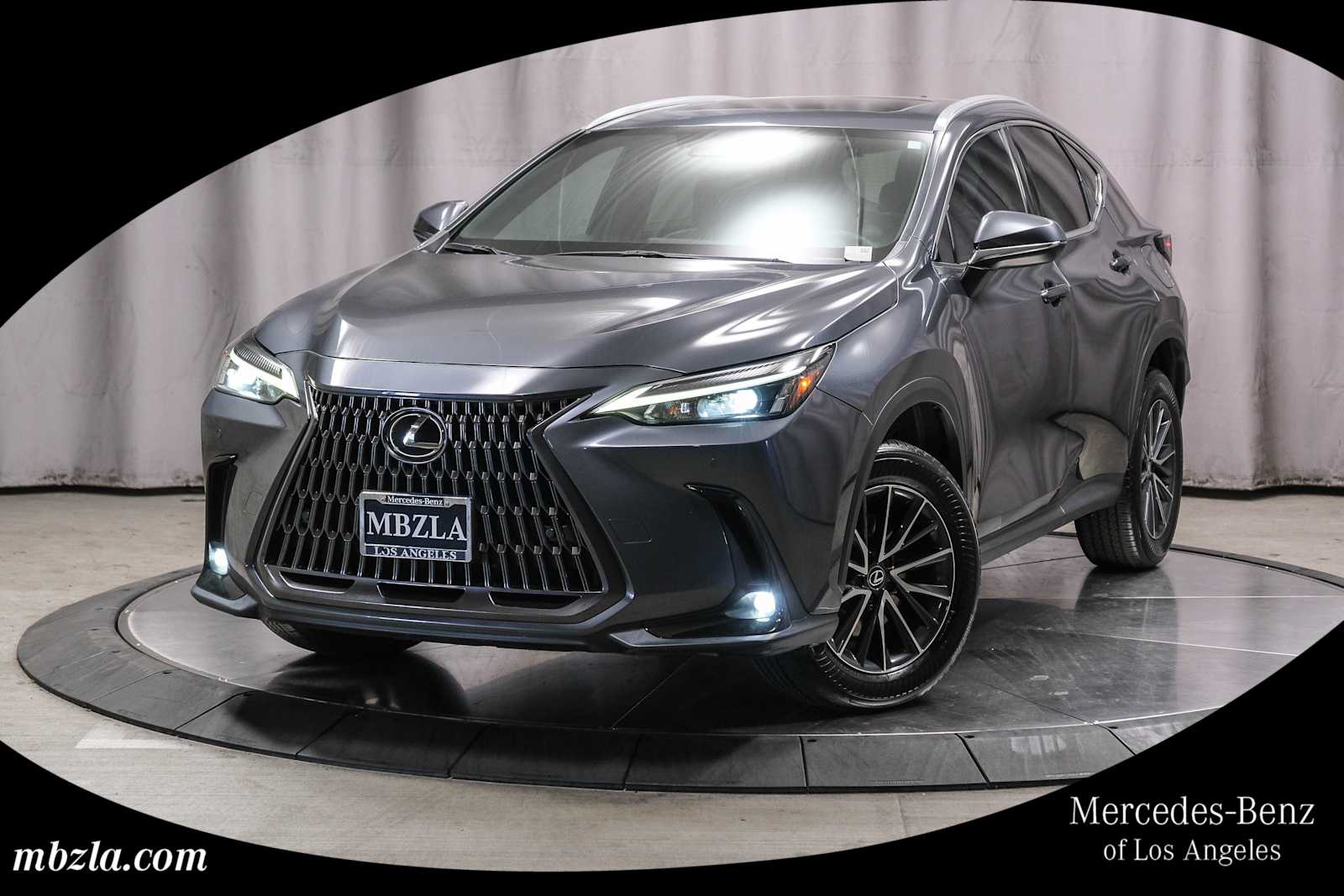 2024 Lexus NX