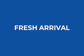 2023 Volkswagen Tiguan 2.0T SE 4D Sport Utility 3VVNB7AX1PM028175