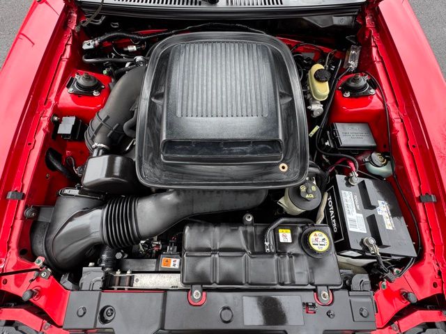 2003 Ford Mustang Mach 1 - Photo 10