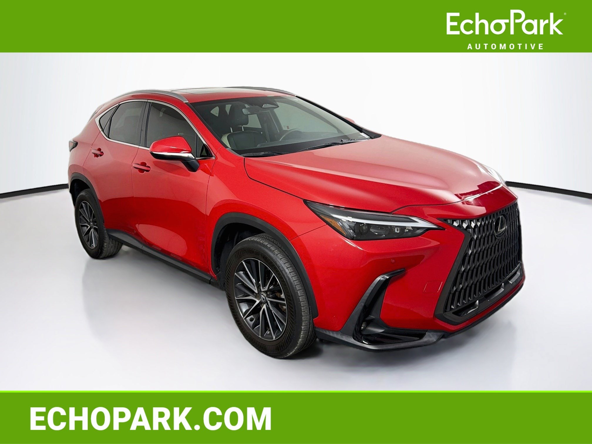 2024 Lexus NX