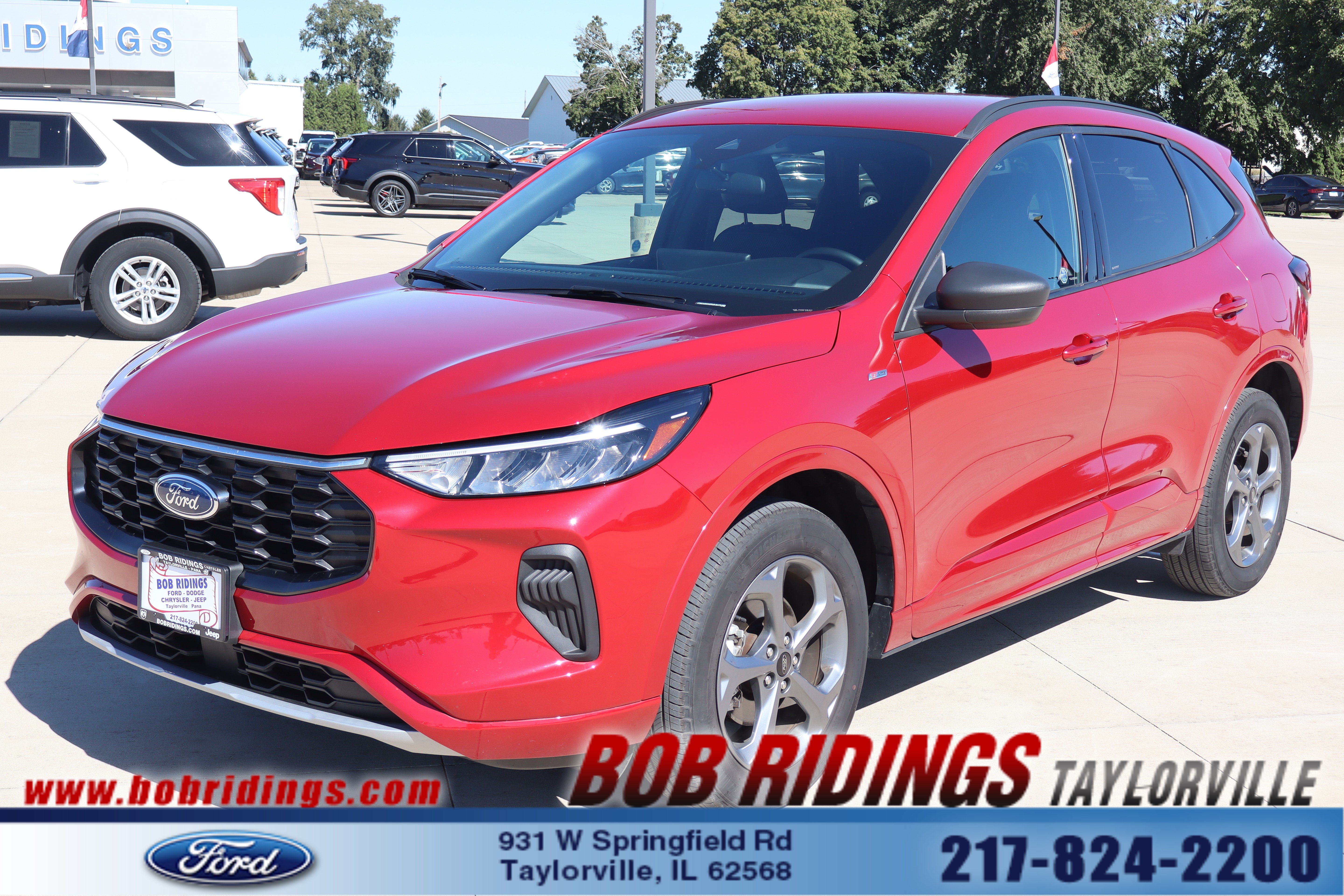 Used 2024 Ford Escape ST-Line SUV