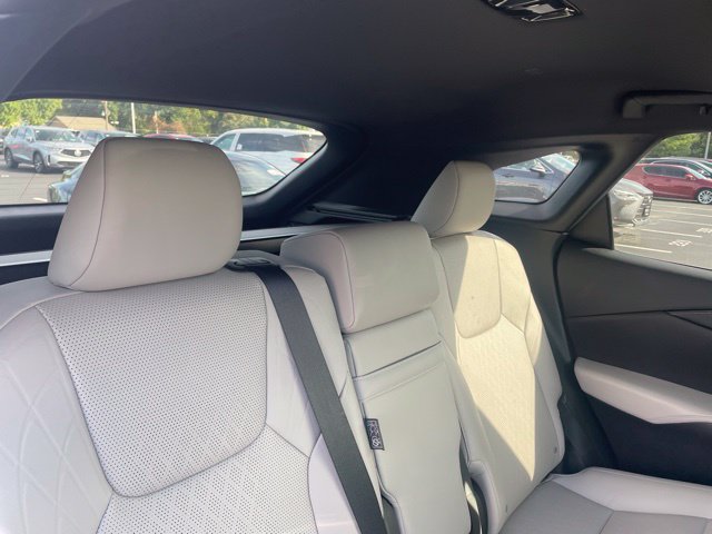 2023 Lexus RX 350 - Photo 6