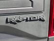 2019 Ford F-150 Raptor Pickup