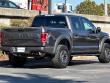 2019 Ford F-150 Raptor Pickup