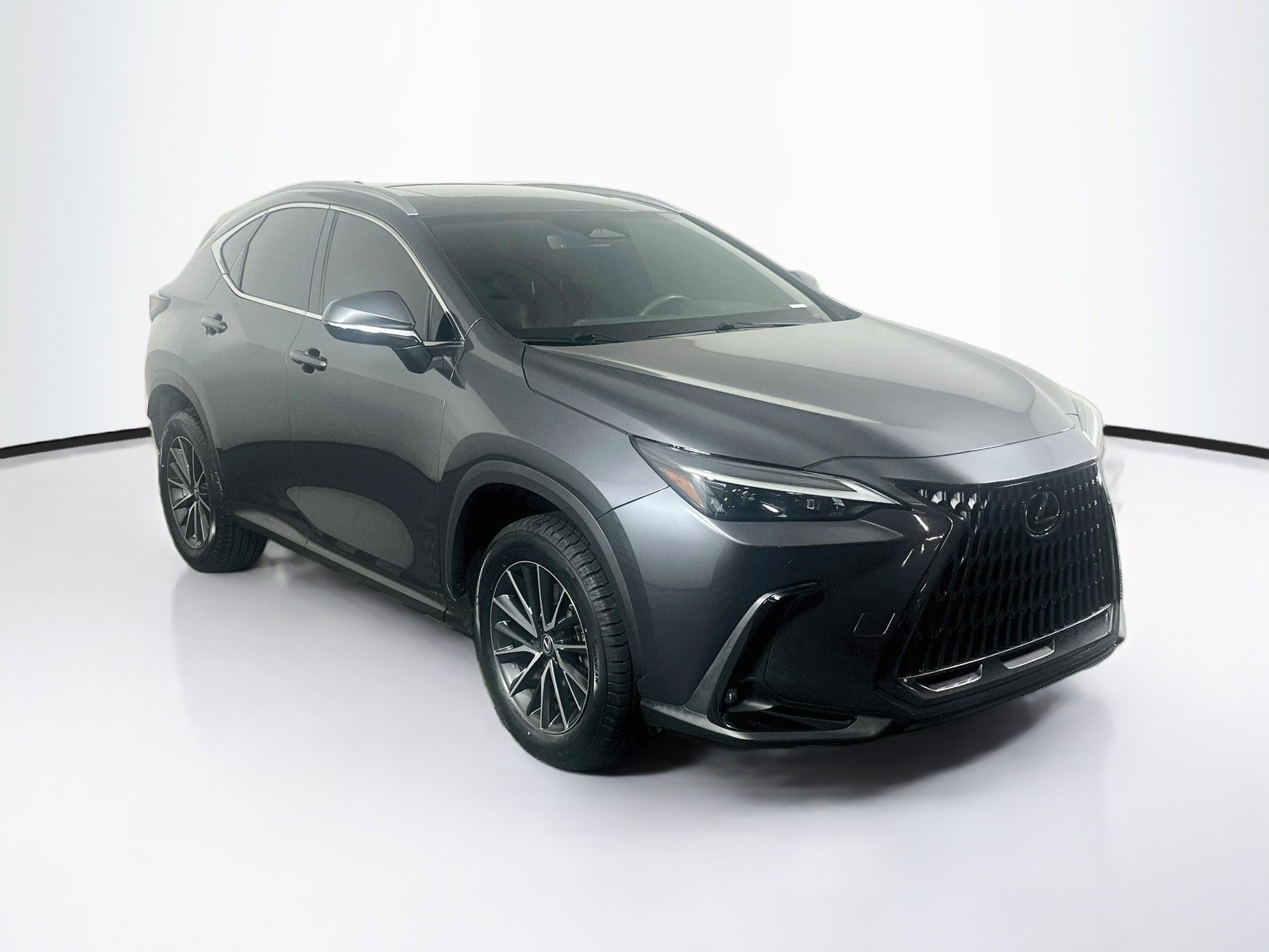 2024 Lexus NX