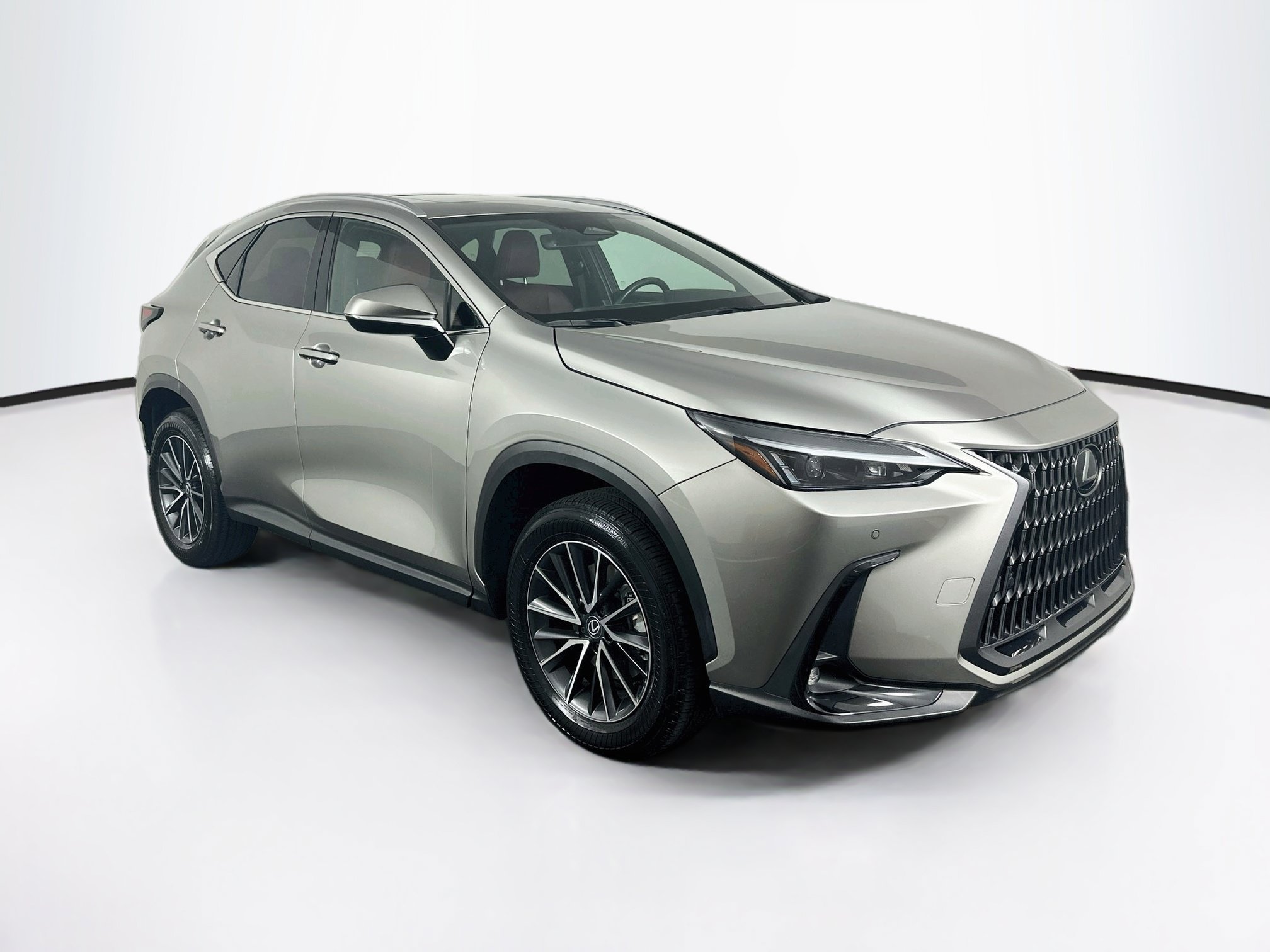 2025 Lexus NX