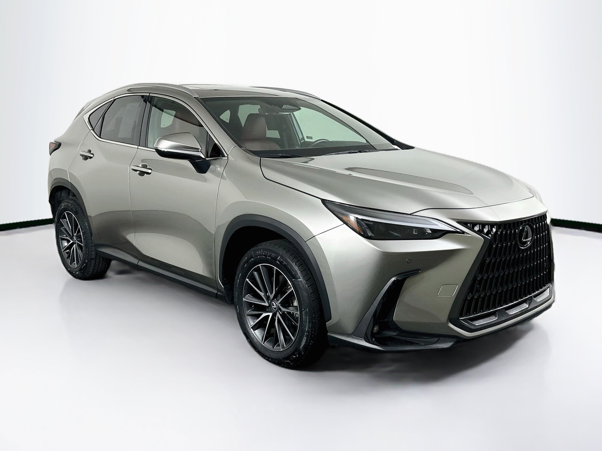 2025 Lexus NX