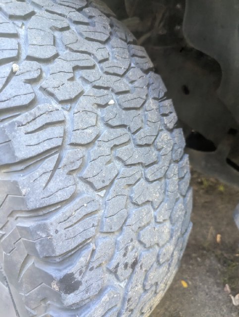 Used 2017 Ford F-150 Raptor Truck
