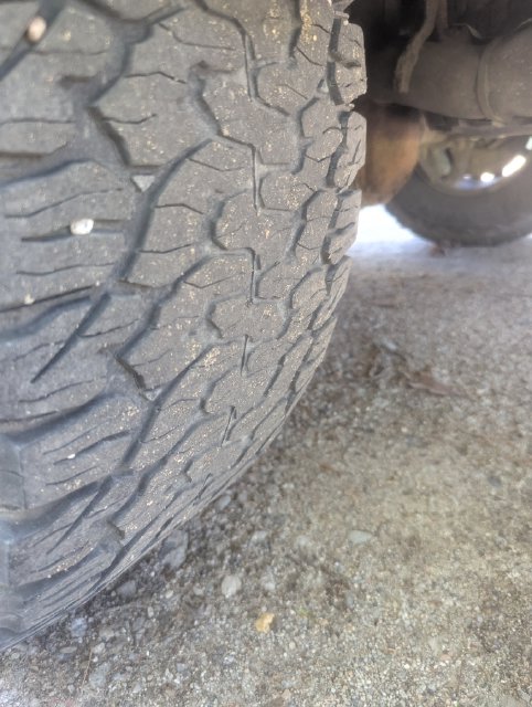 Used 2017 Ford F-150 Raptor Truck