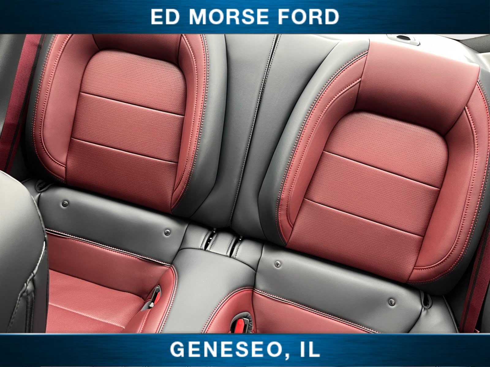 2025 Ford Mustang GT Premium Fastback - Photo 13