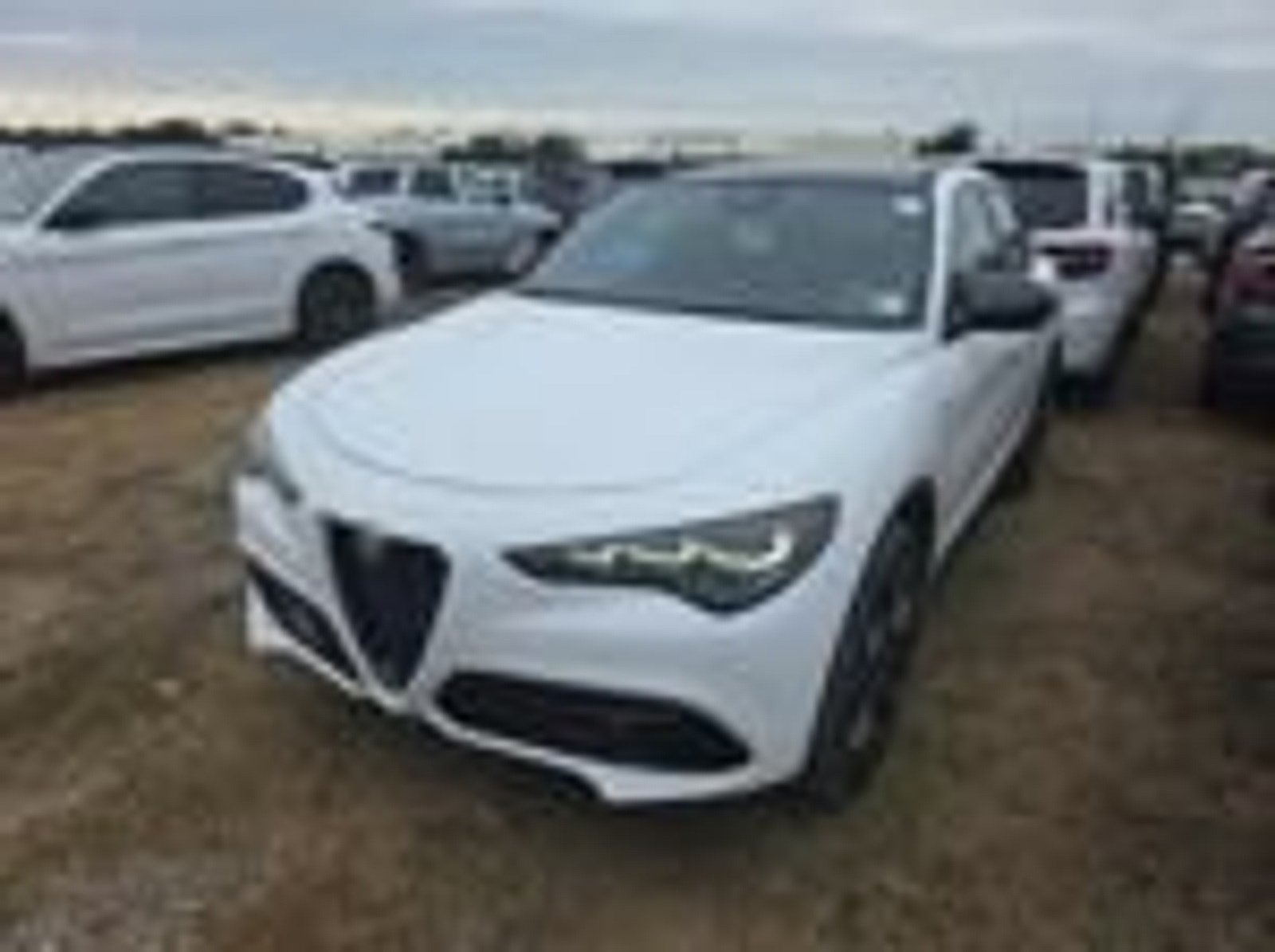 Used 2024 Alfa Romeo Stelvio Veloce SUV