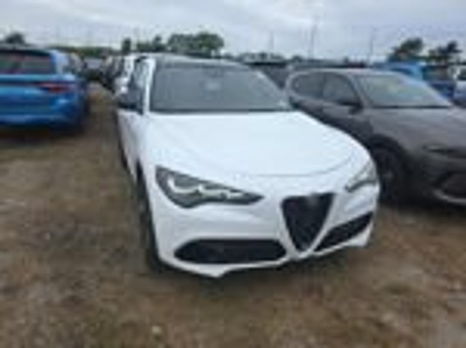 Used 2024 Alfa Romeo Stelvio Veloce SUV