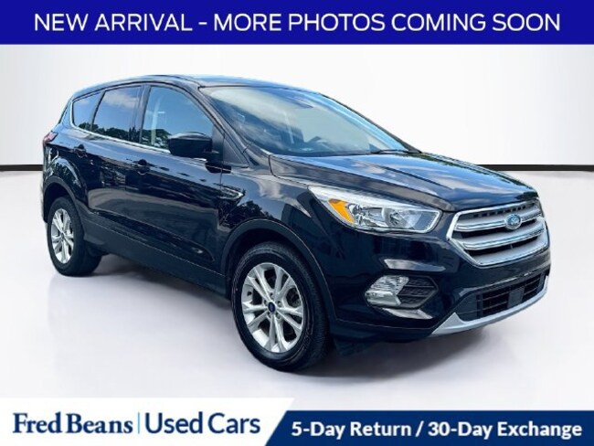 2019 Ford Escape SE