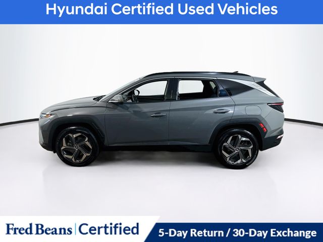 2024 Hyundai Tucson Limited - Photo 9
