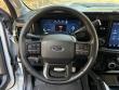 2024 Ford Shelby F-250 Super Baja SuperCrew 4WD Crew Cab Pickup