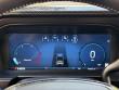 2024 Ford Shelby F-250 Super Baja SuperCrew 4WD Crew Cab Pickup
