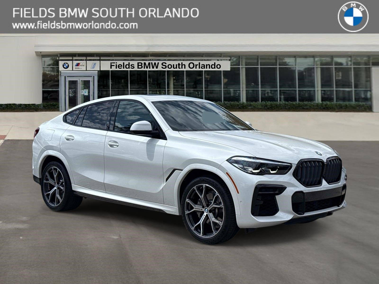 2023 BMW X6