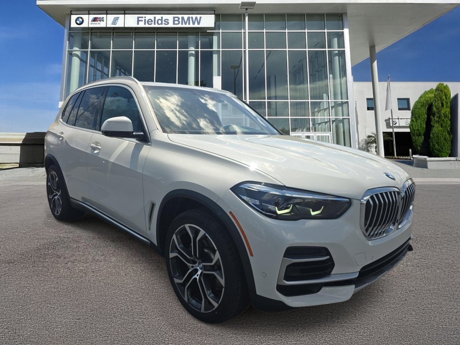 2023 BMW X5