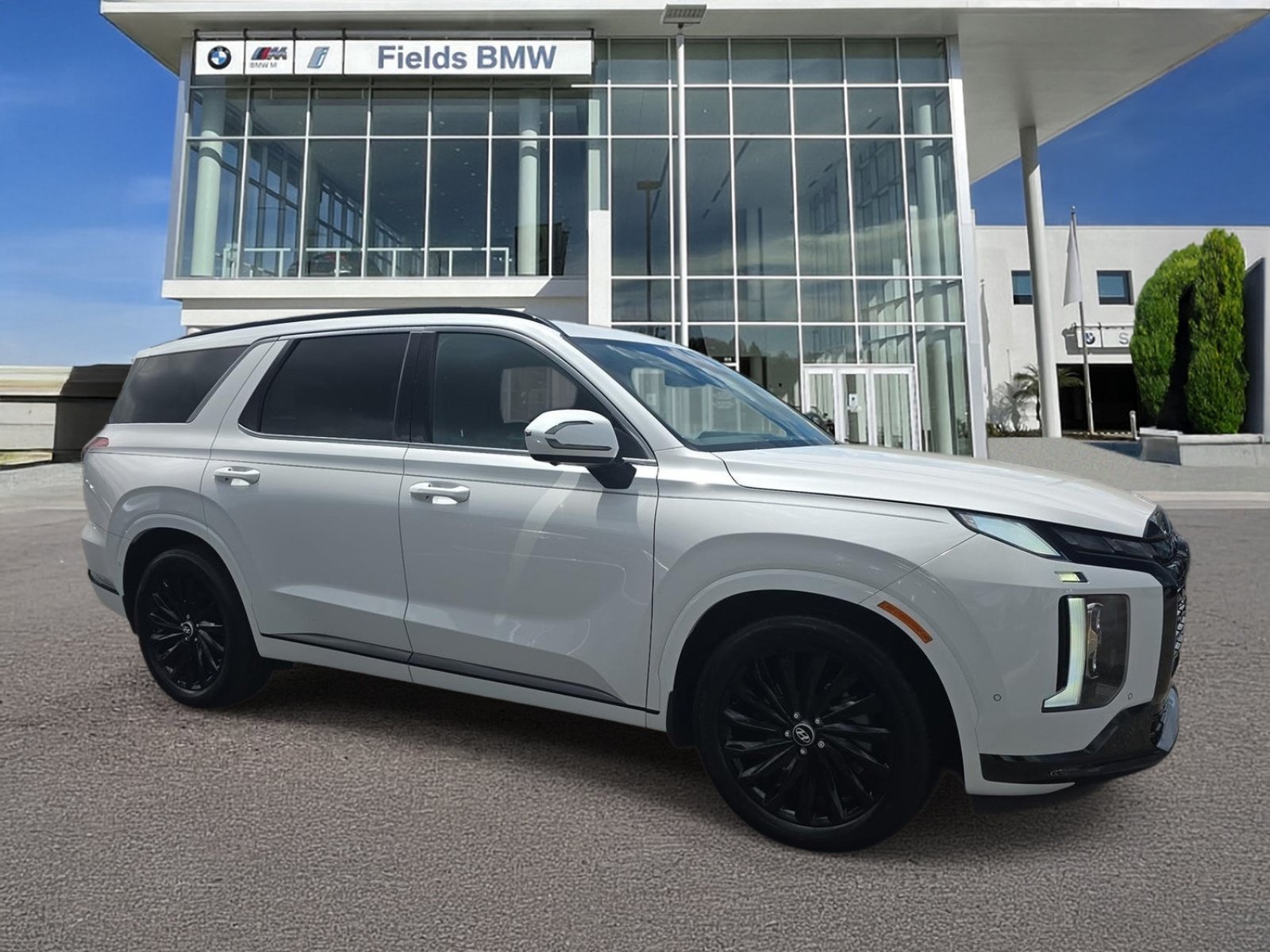  Hyundai Palisade