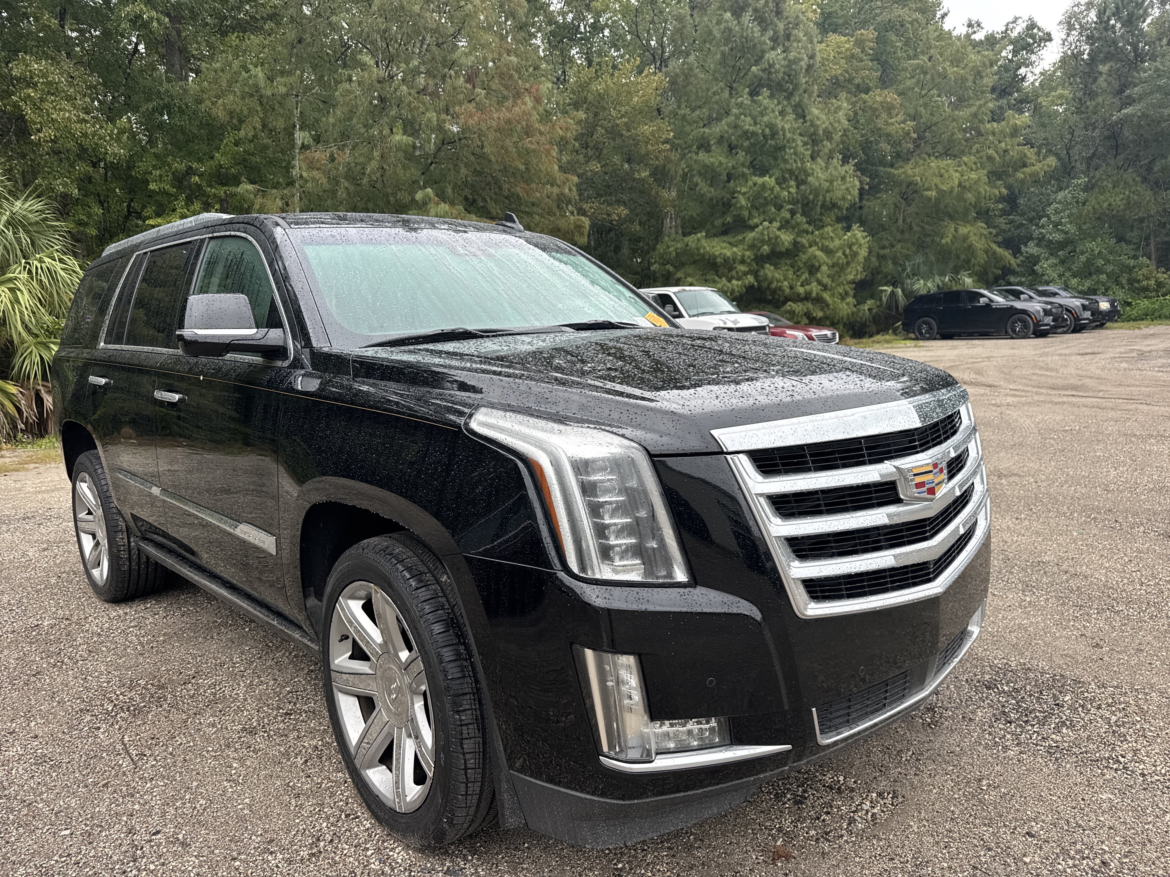 Used 2016 CADILLAC Escalade Premium Collection SUV