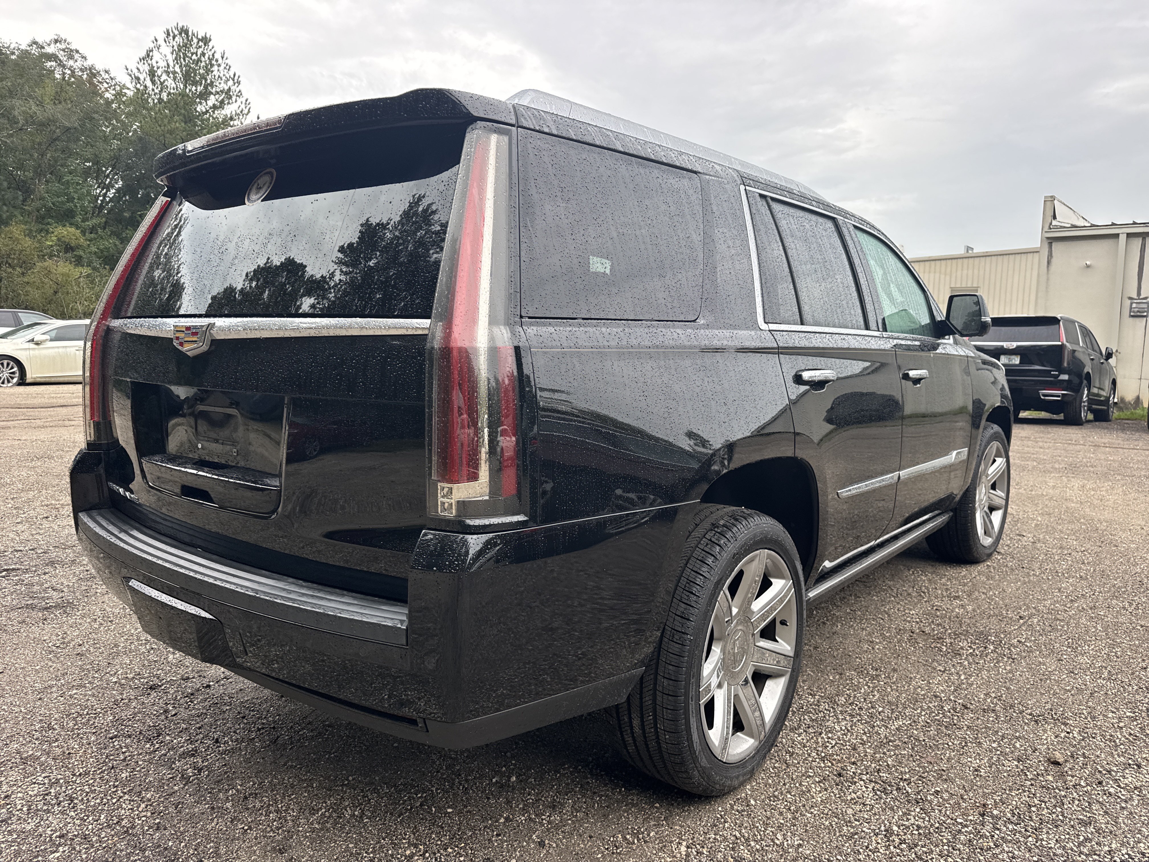Used 2016 CADILLAC Escalade Premium Collection SUV