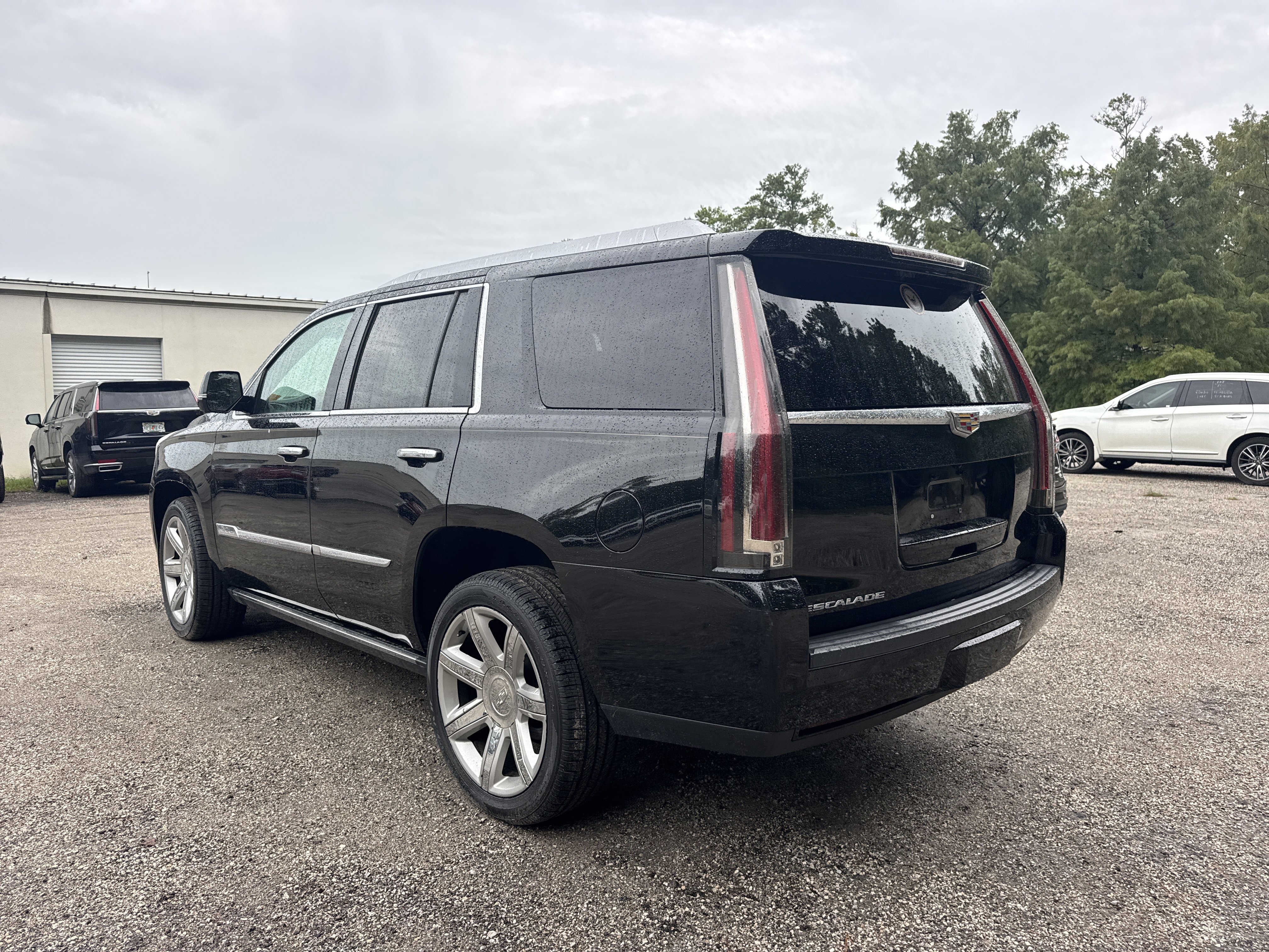 Used 2016 CADILLAC Escalade Premium Collection SUV